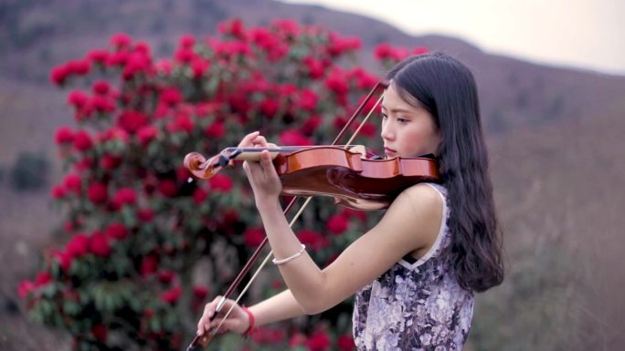拉小提琴的少女068