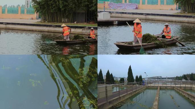 打捞水草河道清理