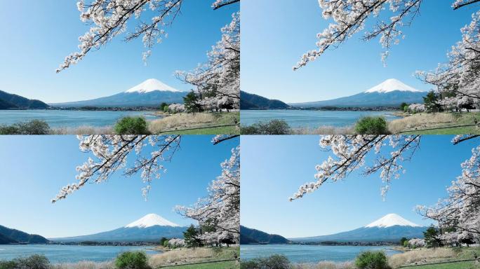 富士山唯美美景风景风光风貌