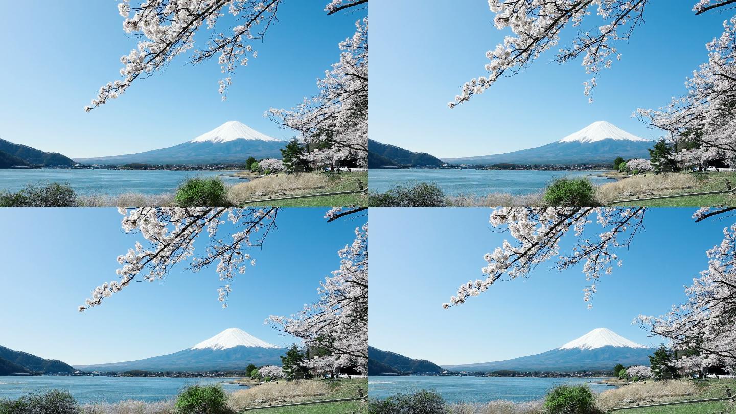 富士山唯美美景风景风光风貌