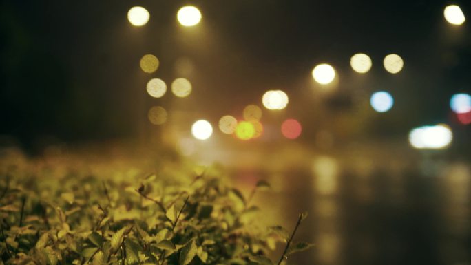 城市街景路边绿植区暴雨之夜