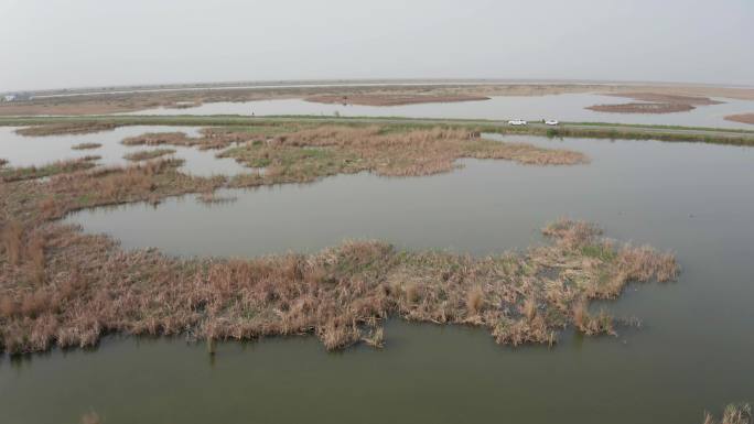 东营黄河入海口湿地公园