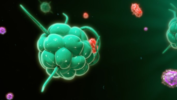 免疫反应噬菌体支原体3D动画
