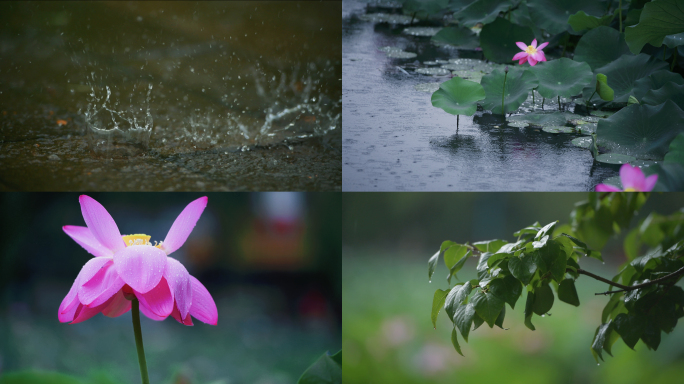 夏季雨季下雨唯美空镜