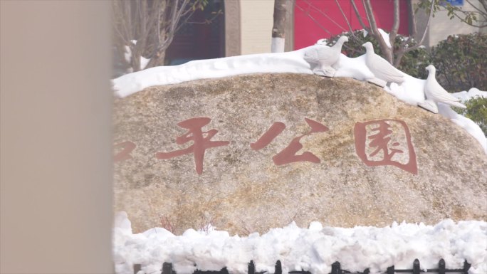 南京和平公园钟楼还都塔雪景空镜C009