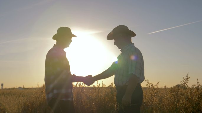 夕阳下农田里戴帽子的农民和工人握手