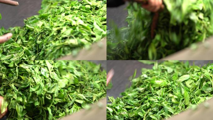 炒茶采茶制茶炒茶古树茶普洱茶