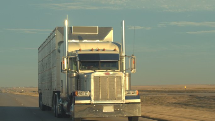 牲畜集装箱卡车畜牧业国外货车外国马路