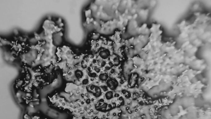 显微镜下的冰晶化冻过程液态华固体变成液体