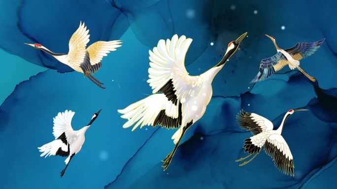 5款鹤飞舞循环动画视频元素