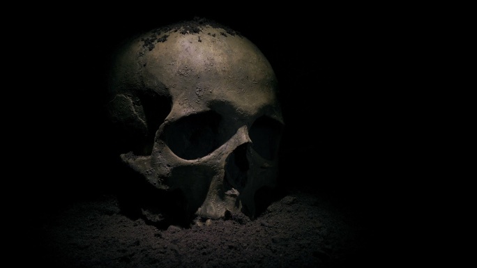通过挖掘上面的土壤，发现了旧头骨