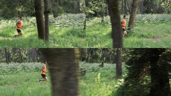男人在森林小径上跑步
