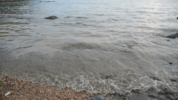 海水含有污染物