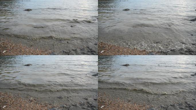 海水含有污染物