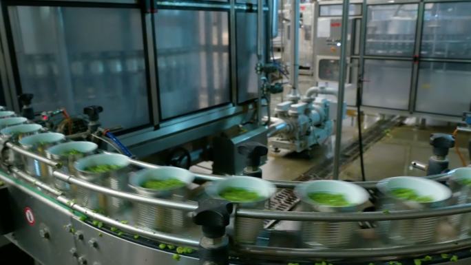 生产蔬菜罐头的工厂传送带