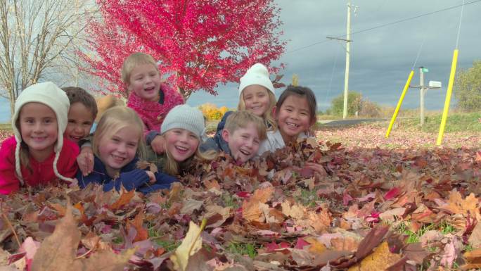 一群可爱的孩子躺在树叶里