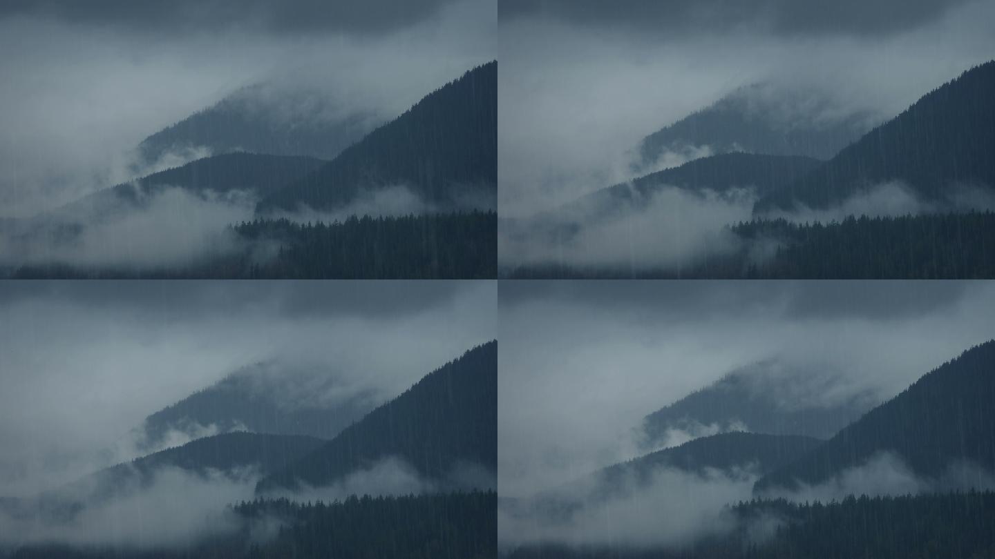 雨中的雾山山间云雾云海雨滴雾蒙蒙