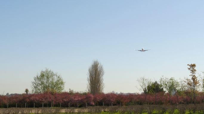 波音737喷气式飞机迫近着陆