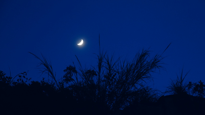 山林夜景月夜孤独夜晚带原声4k视频素材