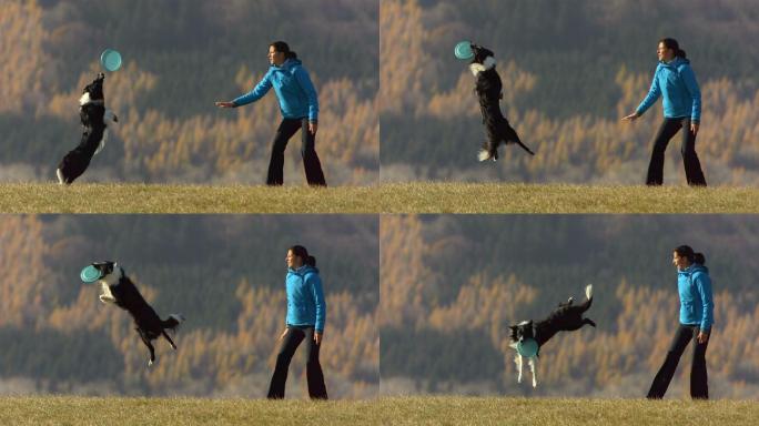 超慢镜头：女人和狗玩塑料盘