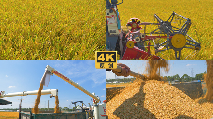 收割机割稻子丰收机械化生产