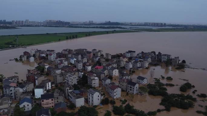 2020洪水鄱阳湖洪水洪水实拍淹没