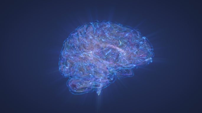 大脑图像脑神经脑电波科学研究