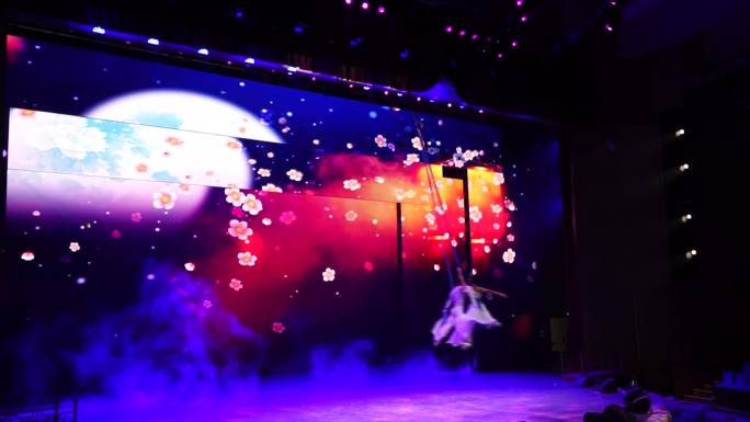 吴桥杂技大世界舞蹈表演民间艺术非物质文化