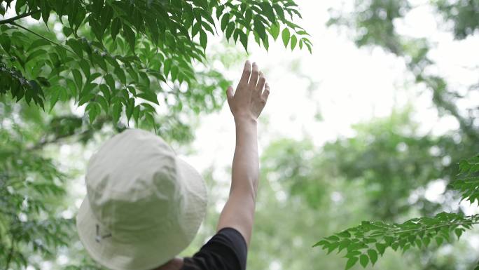 【原创】迷茫孤独希望文艺小清新