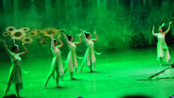 吴桥杂技大世界舞蹈表演民间艺术非物质文化
