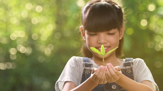 小女孩手捧小植物，抬起头来