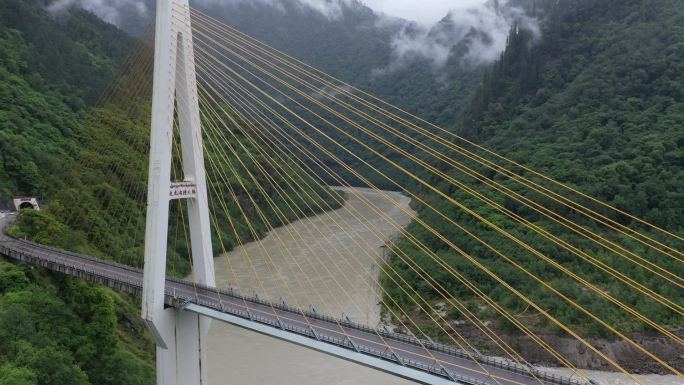西藏林芝鲁朗小镇迫龙沟大桥