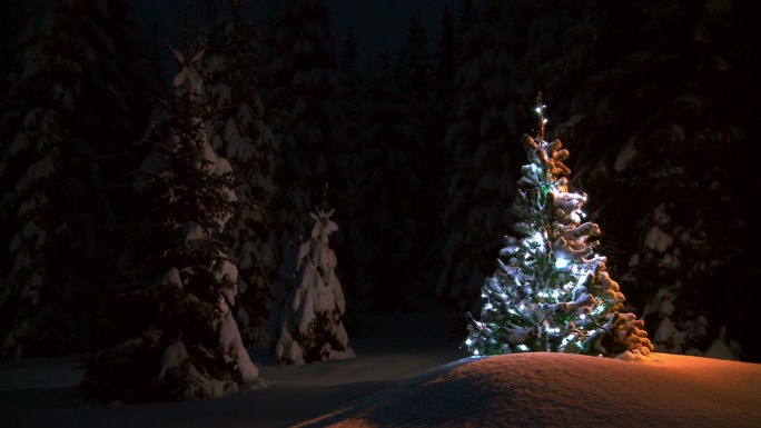 圣诞树上的彩灯在雪地松林间闪烁