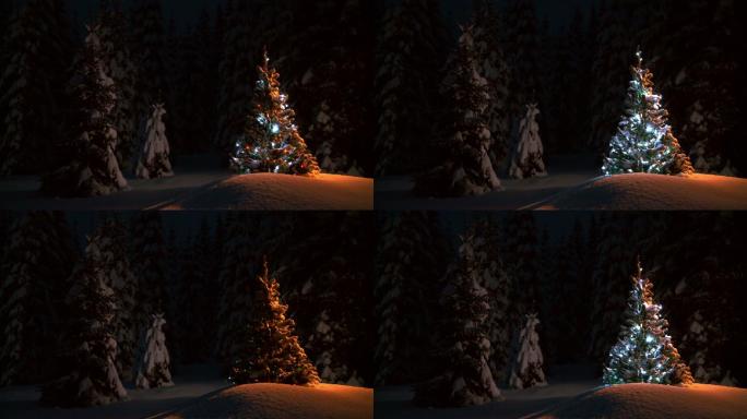 圣诞树上的彩灯在雪地松林间闪烁