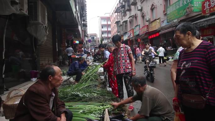 端午节卖粽子艾叶