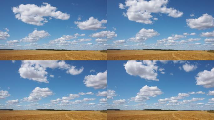时过境迁：蓝天白云飞过农田