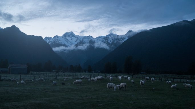 新西兰自然景观（福克斯冰川和库克山脉）