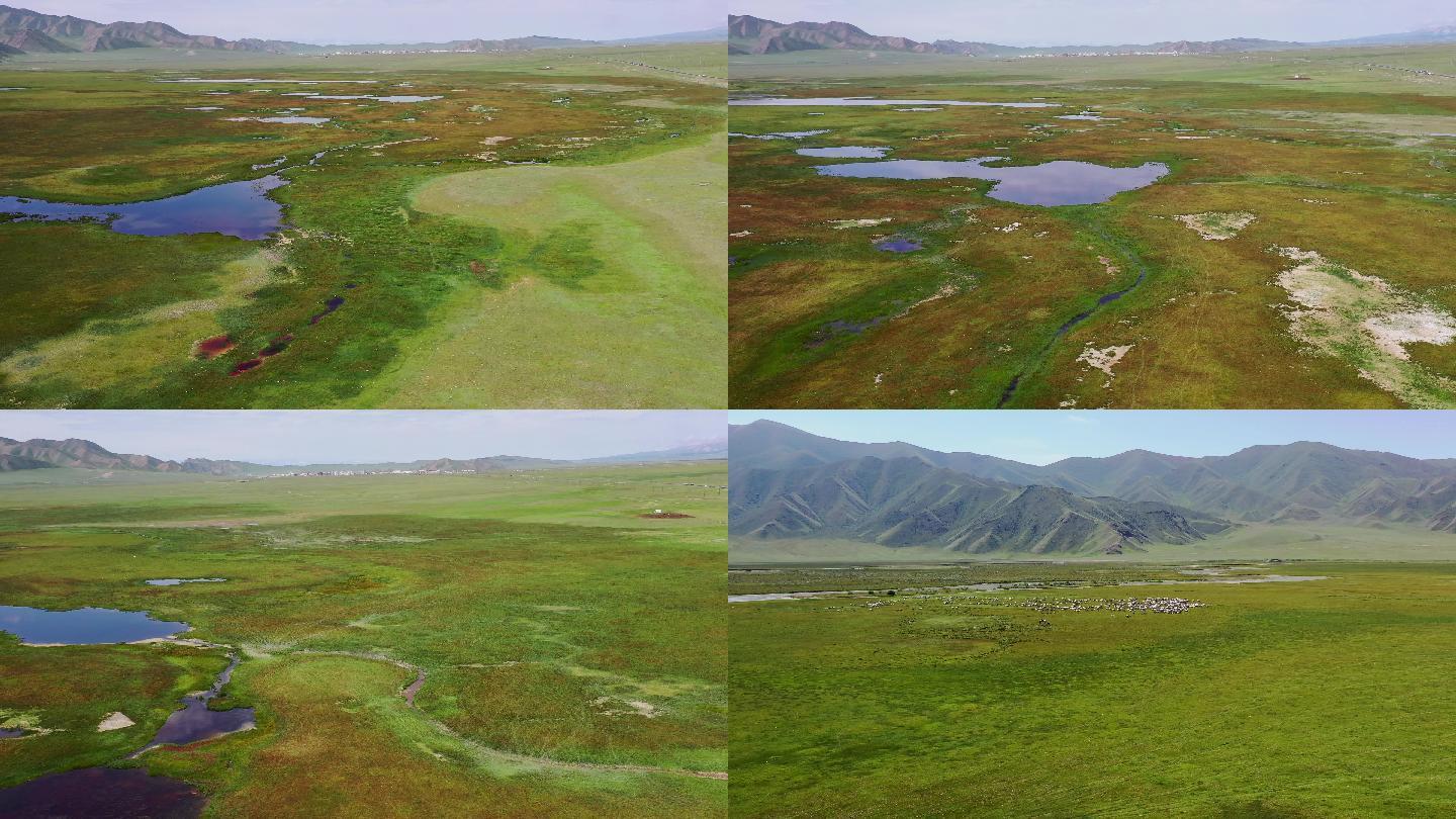 原生态自然湿地视频素材航拍