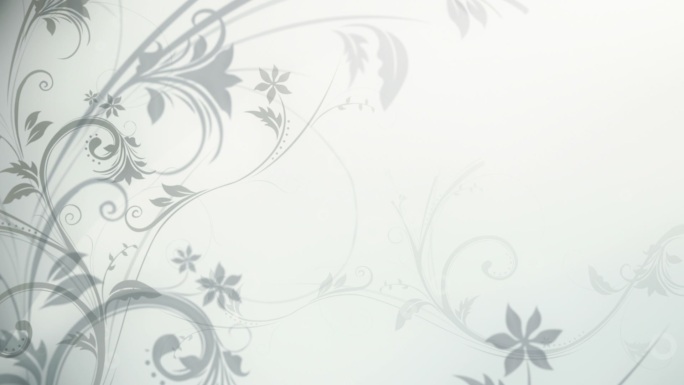 花卉图案背景（银色/白色）