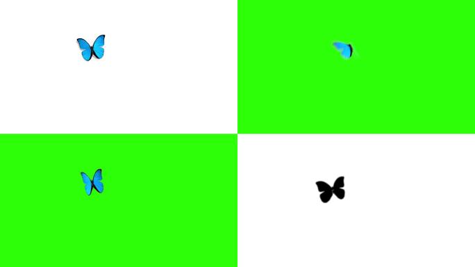绿色背景蓝色蝴蝶