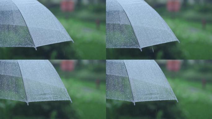 透明雨伞下雨意境等待雨滴滑落等待准备出发