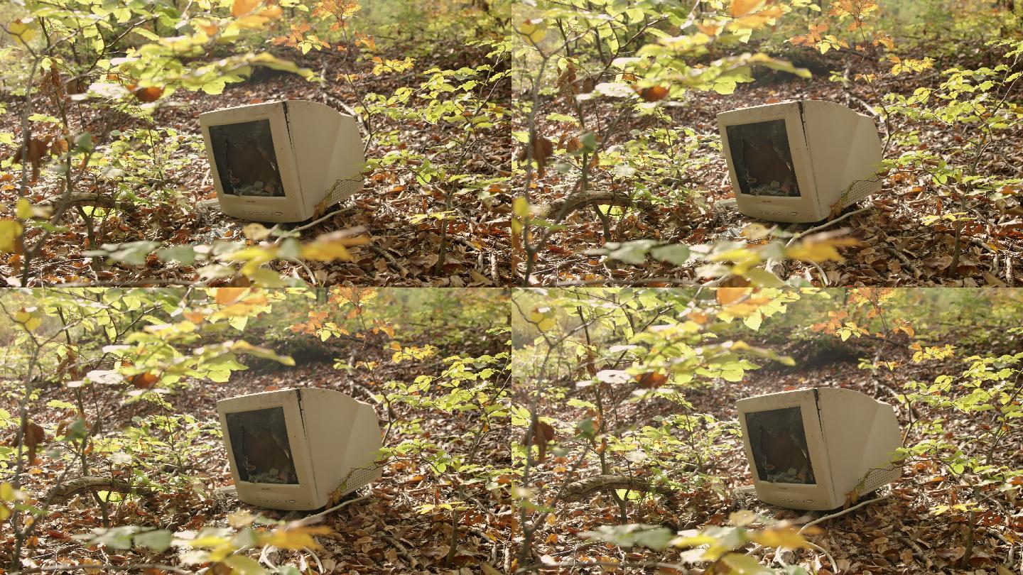 废弃的电脑污染了阳光明媚的秋林。