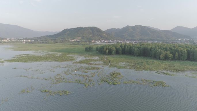 湖水涟漪航拍树林夕阳