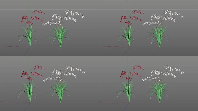 动态花_MAX模型