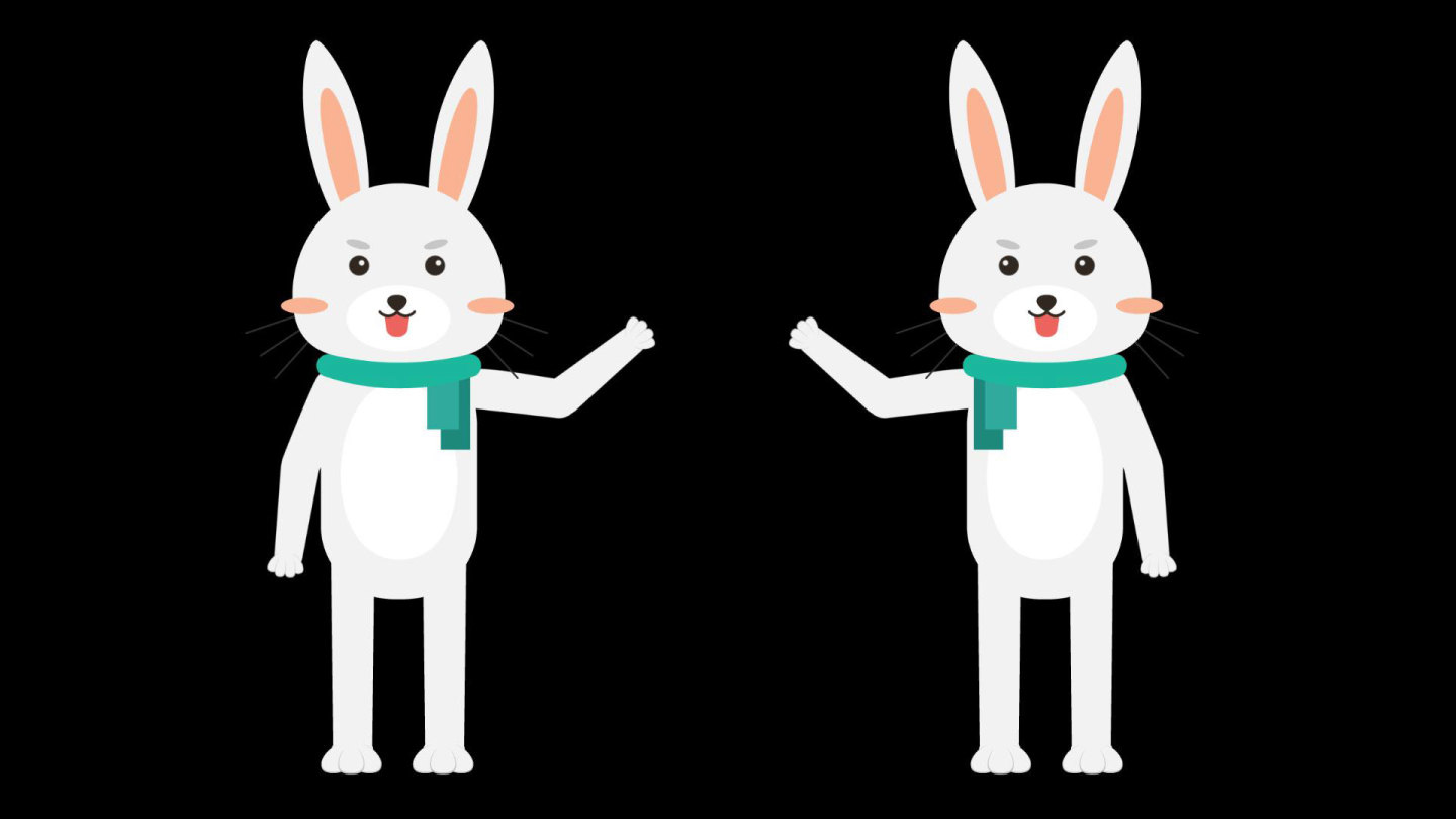 MG动画卡通兔子教师讲课动物解说员