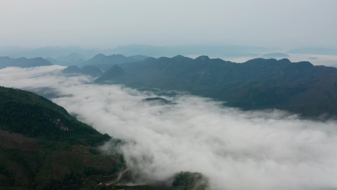 【4k】易武国有林茶山云海航拍