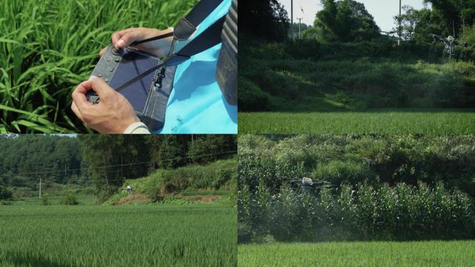 无人机植保服务喷洒农药视频素材