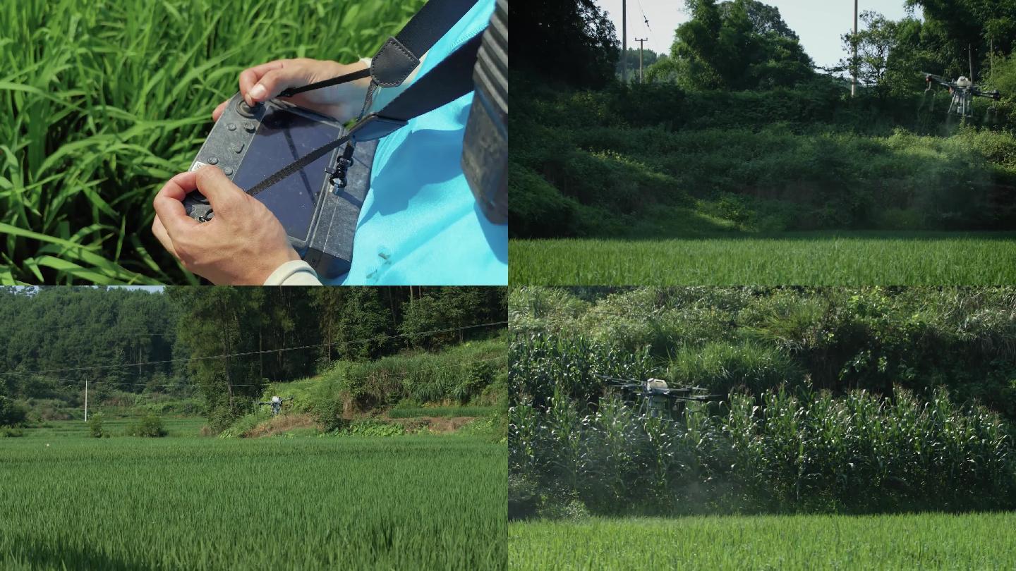 无人机植保服务喷洒农药视频素材