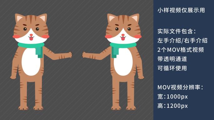 MG动画卡通猫咪教师讲课动物解说员