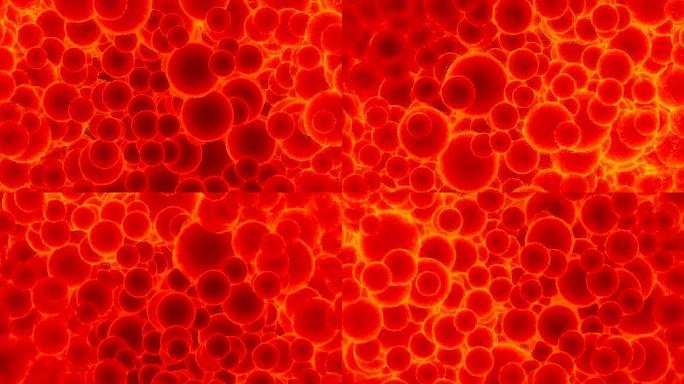 动脉血细胞